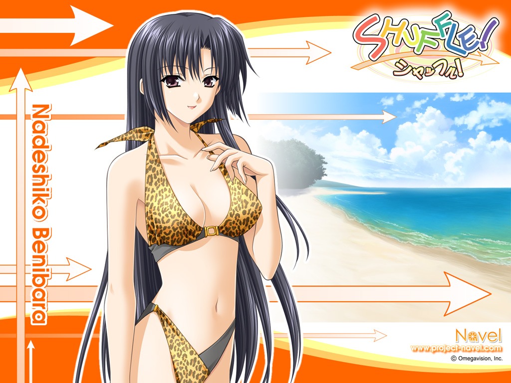 suzuhira hiro, benibara nadeshiko, shuffle!, 00s, bikini, black hair, character name, copyright name, day, long hair, solo, swimsuit, teacher
