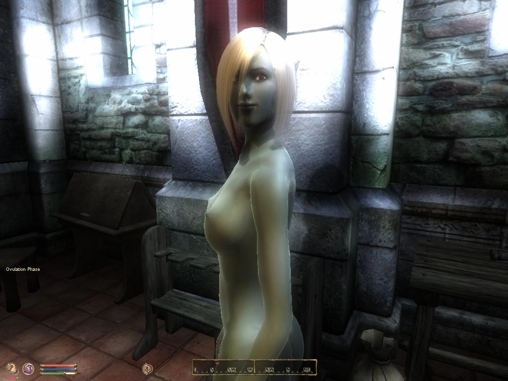 Rule34 – If it exists, there is porn of it / dunmer / 109054