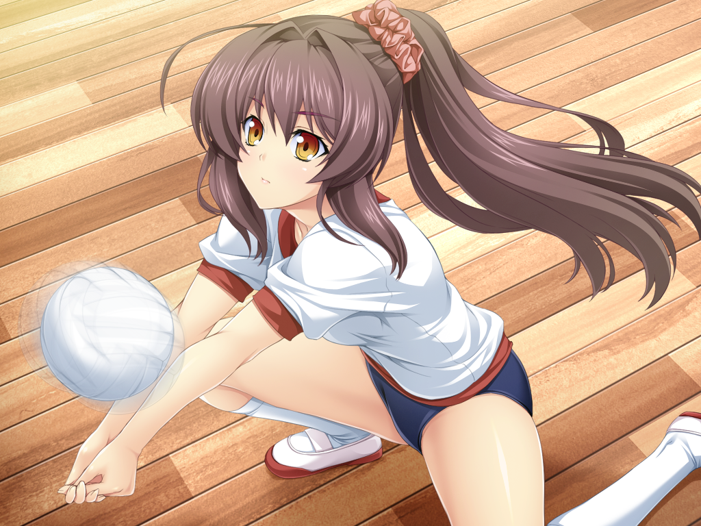 inoino, katsuragi marina, kouyoku senki exs-tia, game cg, non-web source, official art, variant set, 1girl, ahoge, ball, blue buruma, brown eyes, brown hair, buruma, gym uniform, hair ornament, kneehighs, long hair, on one knee, panties, panty peek, ponytail, shoes, socks, solo, squatting, underwear, uwabaki, volleyball, volleyball (object), white socks, wooden floor, yellow eyes