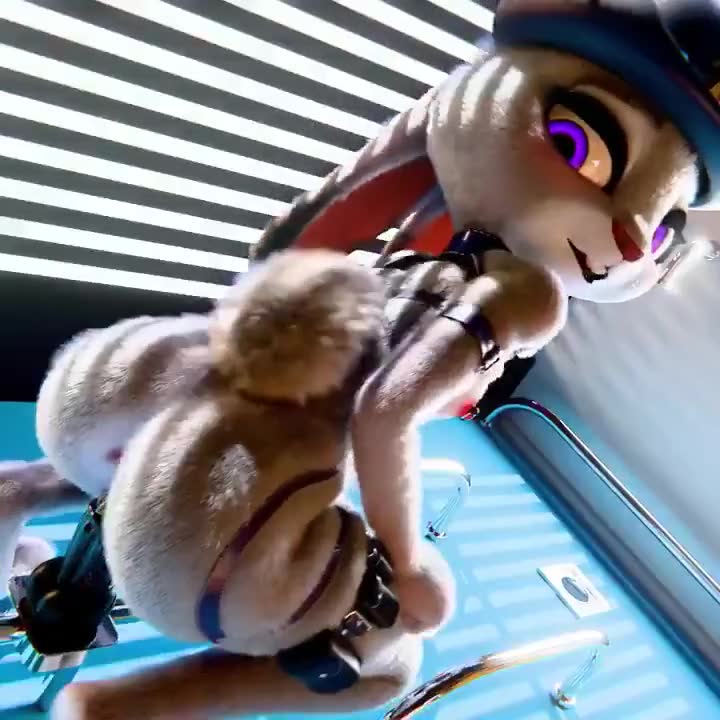 Rule34 – If it exists, there is porn of it / judy hopps / 8655078