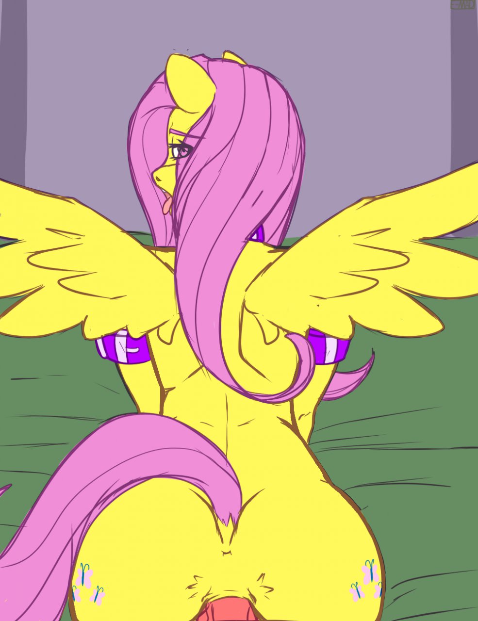 Rule34 – If it exists, there is porn of it / dreikaze, fluttershy (mlp) / 109425