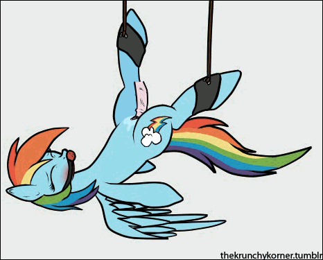 Rule34 – If it exists, there is porn of it / rainbow dash (mlp) / 109882