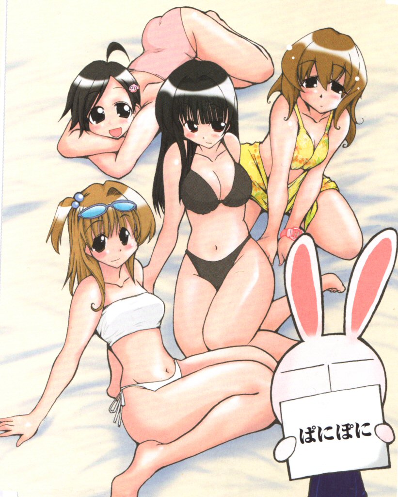 ichijou, katagiri himeko, mesousa, momose kurumi, tachibana rei, pani poni dash!, non-web source, 00s, 4girls, bikini, black eyes, black hair, breasts, brown hair, cleavage, large breasts, long hair, multiple girls, short hair, swimsuit