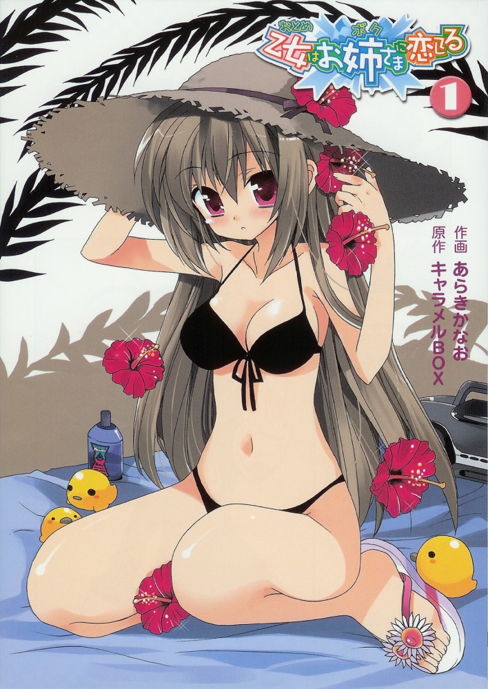 araki kanao, miyanokouji mizuho, otome wa boku ni koishiteru, 00s, 1girl, bikini, blush, breasts, brown hair, cleavage, female focus, flip-flops, flower, front-tie top, genderswap, genderswap (mtf), hair flower, hair ornament, hat, hat flower, hibiscus, kneeling, long hair, lotion, navel, purple eyes, radio, sandals, sitting, solo, straw hat, sunscreen, swimsuit, wariza