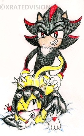 Rule34 – If it exists, there is porn of it / honey the cat, shadow the hedgehog / 111024