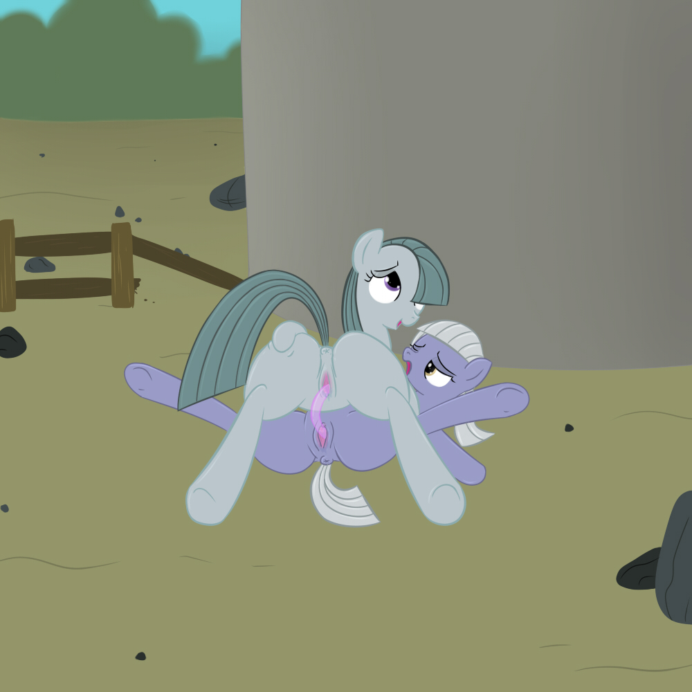 Rule34 – If it exists, there is porn of it / w300, limestone pie, marble pie / 111168