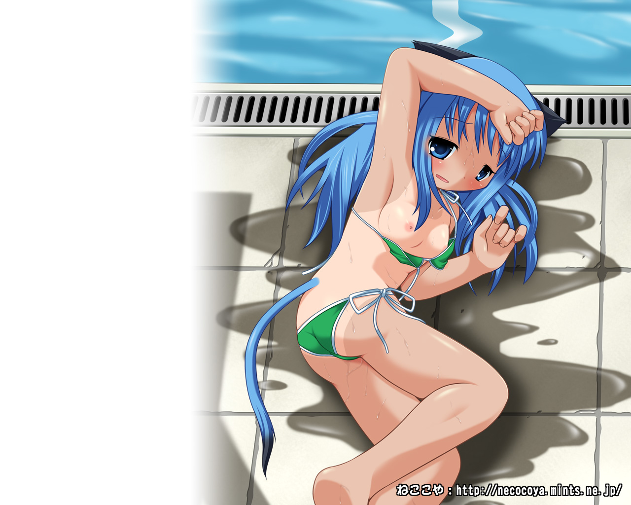 kanna hisashi, 1girl, animal ears, armpits, ass, bikini, blue eyes, blue hair, blush, breasts, cat ears, cat tail, female focus, green bikini, lying, matching hair/eyes, nipples, on side, one-piece tan, pool, poolside, puddle, shiny skin, side-tie bikini bottom, small breasts, solo, swimsuit, tail, tan, tanline, wardrobe malfunction, water, watermark, web address