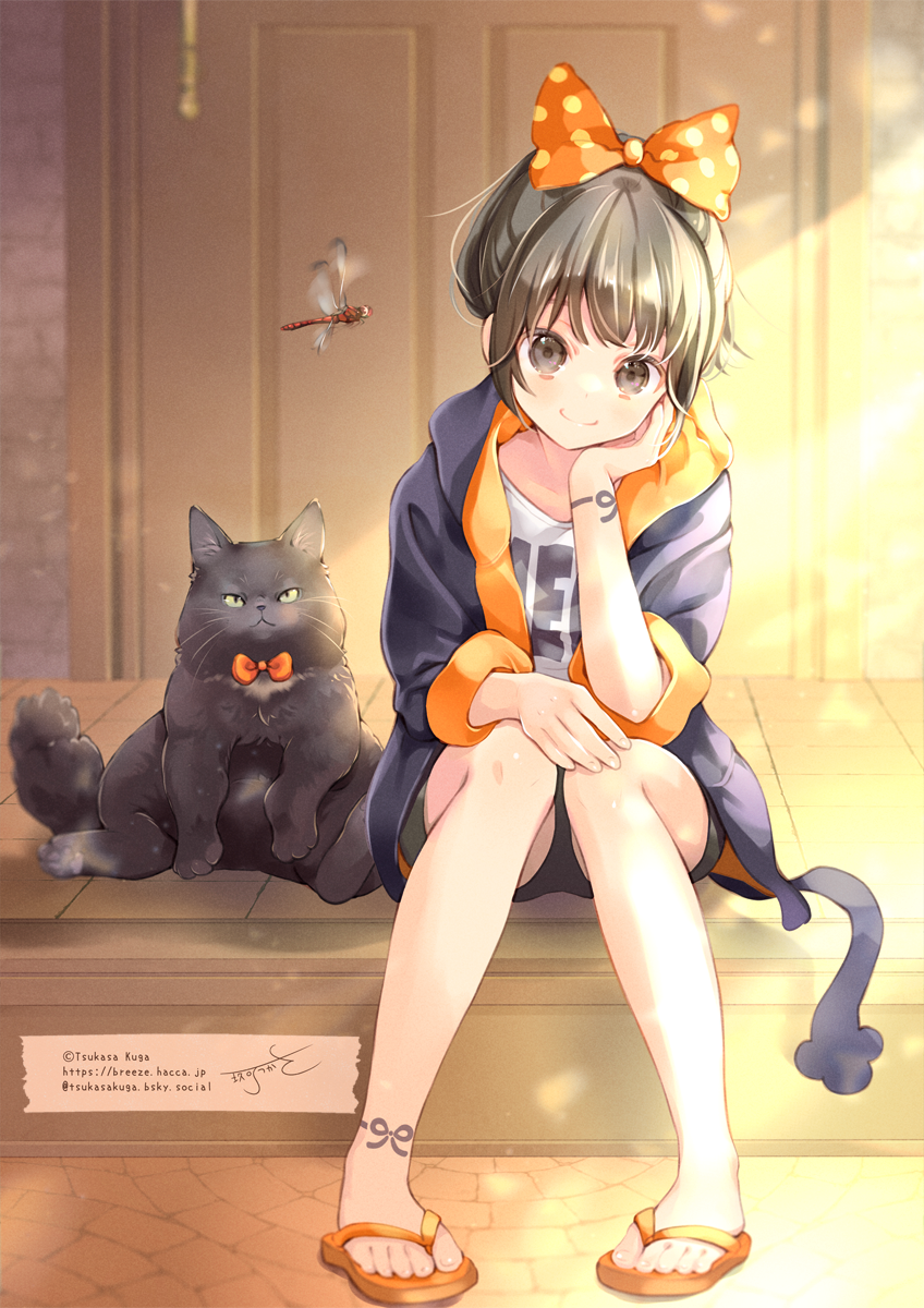 kuga tsukasa, original, commentary request, highres, 1girl, animal, black cat, black jacket, black shorts, bow, bowtie, bug, cat, closed mouth, collarbone, dragonfly, grey eyes, grey hair, hair bow, hood, hood down, hooded jacket, indoors, insect, jacket, long sleeves, looking at viewer, open clothes, open jacket, orange bow, orange bowtie, orange sandals, polka dot, polka dot bow, sandals, shirt, short shorts, shorts, signature, sitting, smile, solo, twitter username, watermark, web address, white shirt
