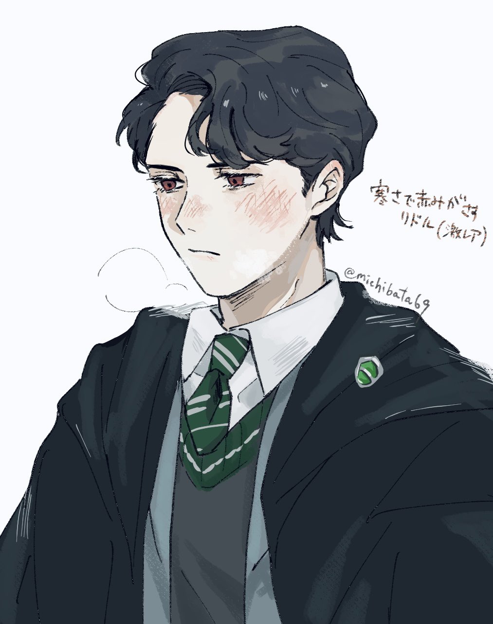 tom marvolo riddle, harry potter (series), wizarding world, highres, 1boy, black hair, blush, hogwarts school uniform, looking to the side, male focus, michibata (michibata69), pale skin, red eyes, school uniform, solo, white background