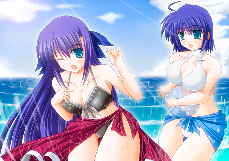 tukuyo kiriyuki, ginga nakajima, subaru nakajima, lyrical nanoha, mahou shoujo lyrical nanoha, mahou shoujo lyrical nanoha strikers, bad id, bad pixiv id, 00s, 2girls, ahoge, ball, beachball, bikini, blue eyes, blush, breasts, cleavage, day, large breasts, long hair, multiple girls, ocean, one eye closed, purple hair, short hair, siblings, sisters, swimsuit, water, wet, wink