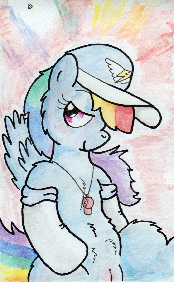 Rule34 – If it exists, there is porn of it / shade99, rainbow dash (mlp) / 113149