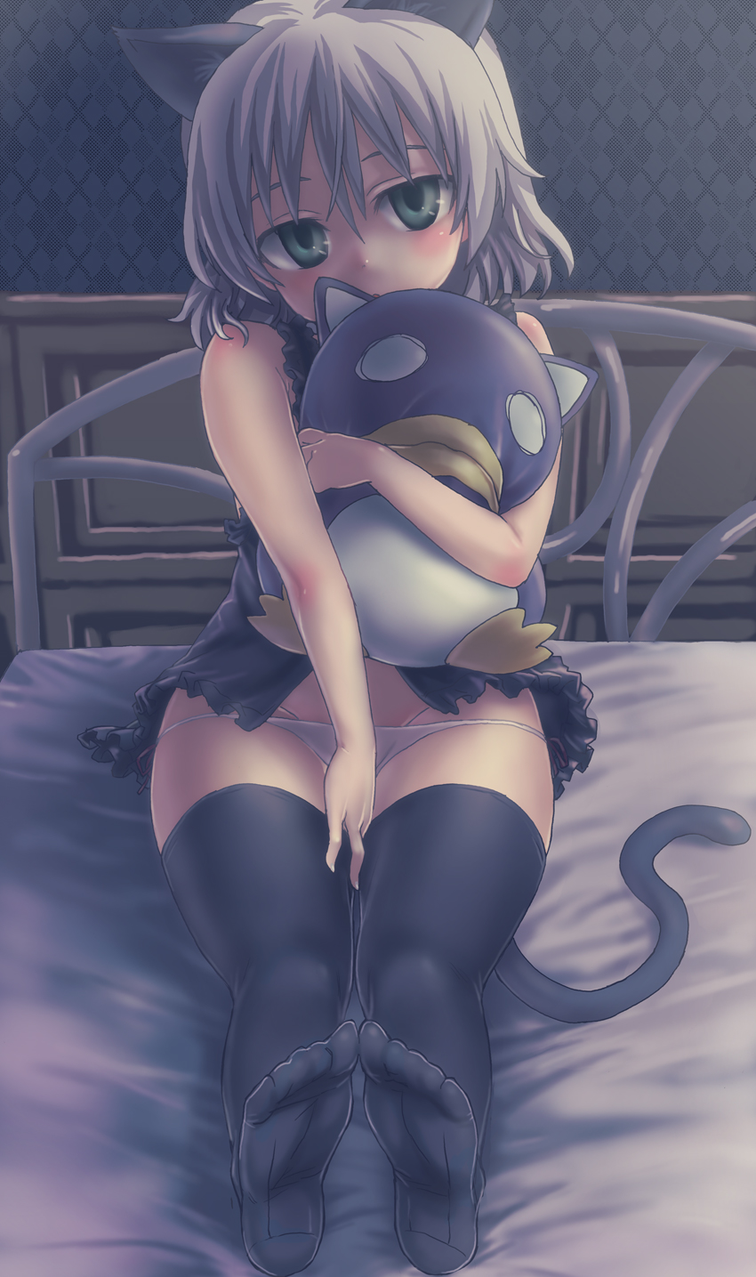 asanagi, sanya v. litvyak, strike witches, world witches series, argyle, silver hair, highres, 00s, 1girl, animal ears, bed, blush, cat ears, cat tail, feet, female focus, green eyes, groin, looking at viewer, lowleg, lowleg panties, panties, short hair, side-tie panties, sitting, solo, stuffed animal, stuffed toy, tail, thighhighs, underwear, white panties