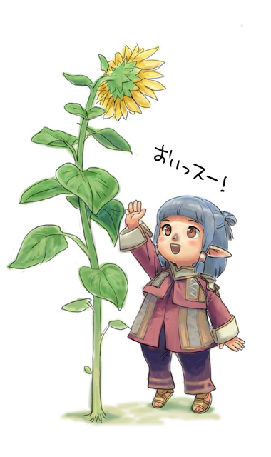yuccoshi, final fantasy, final fantasy xi, gender request, translated, 00s, androgynous, flower, pointy ears, solo, sunflower, tarutaru