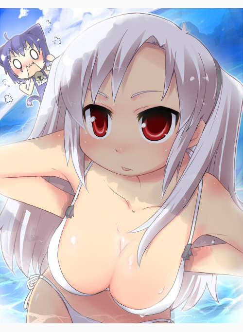 midarezaki chika, midarezaki kyouka, kyouran kazoku nikki, 00s, 2girls, animal ears, bikini, breasts, cat ears, cleavage, day, large breasts, multiple girls, one-piece swimsuit, red eyes, school swimsuit, swimsuit, white hair