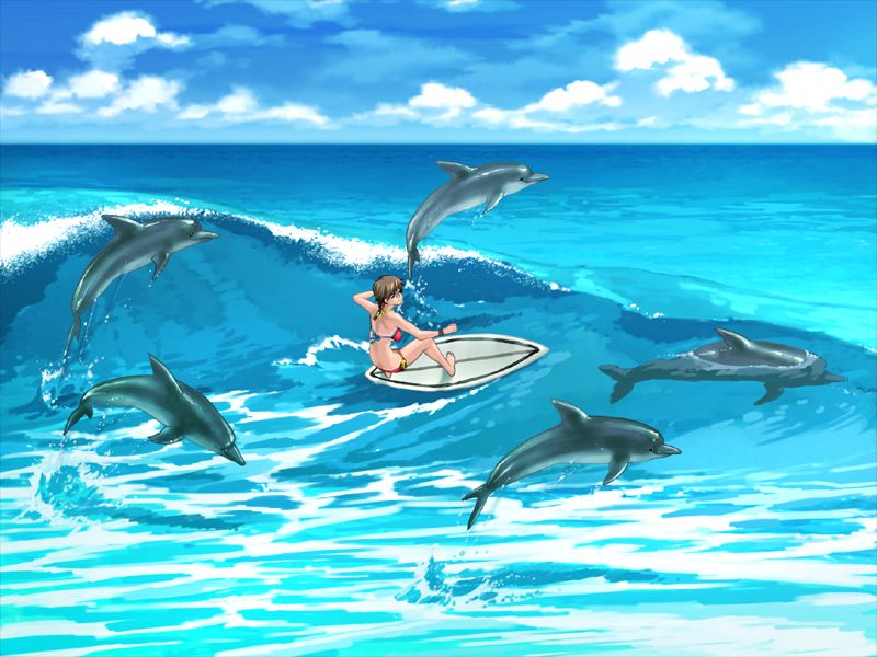 happoubi jin, kuouzumiaiginsusutakeizumonokamimeichoujin mika, resort boin, game cg, jpeg artifacts, 00s, 1girl, barefoot, bikini, blue theme, brown hair, cloud, day, dolphin, female focus, ocean, red bikini, solo, surfboard, surfing, swimsuit