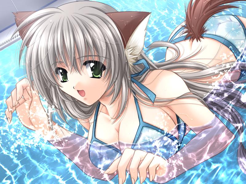 yamamoto kazue, hinata (okaeshi beast!!), okaeshi beast!!, silver hair, game cg, non-web source, 1girl, :d, animal ears, bikini, breasts, cleavage, dog ears, dog tail, dutch angle, female focus, floral print, green eyes, indoors, large breasts, long hair, open mouth, partially submerged, pool, smile, solo, swimming, swimsuit, tail