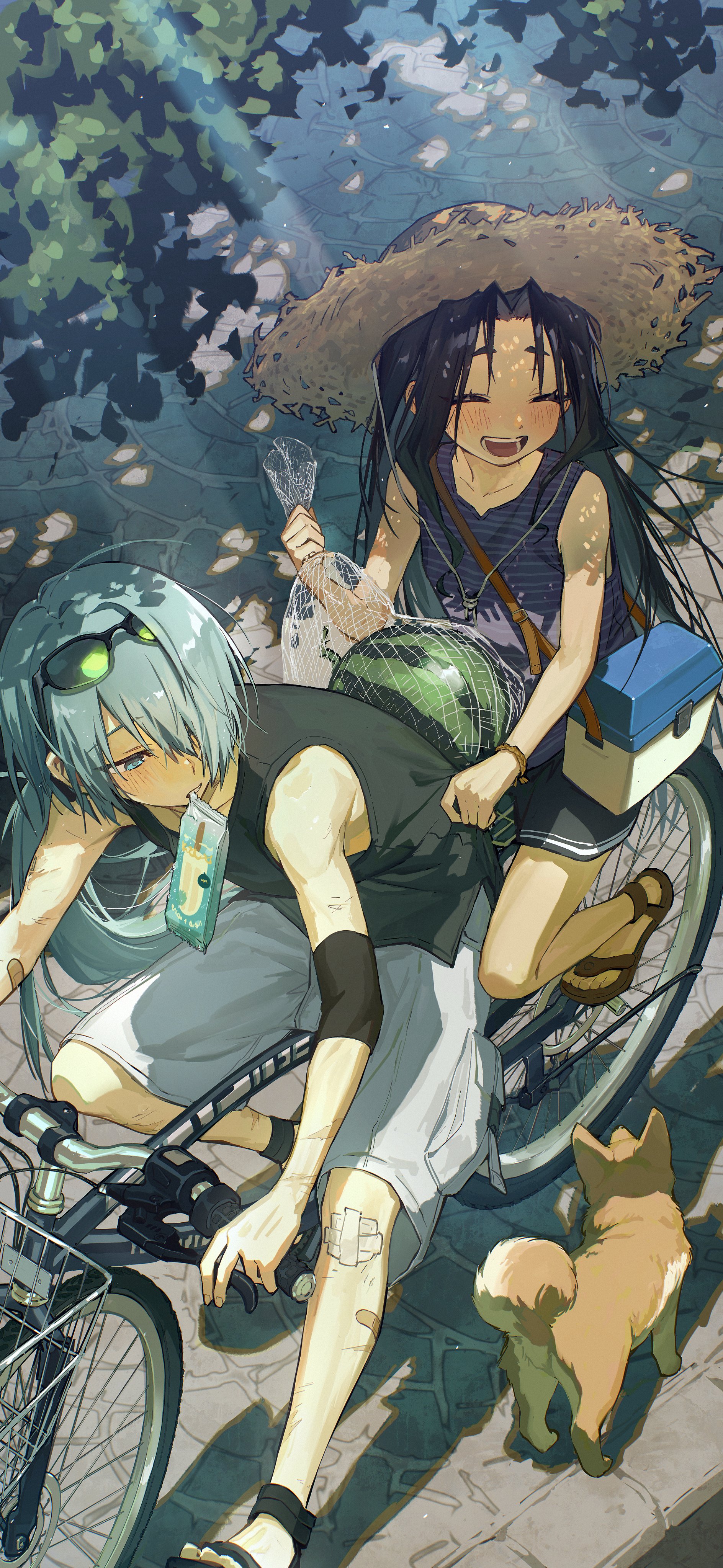 xiao (creation0528), fubuki (nige jouzu no wakagimi), houjou tokiyuki (nige jouzu no wakagimi), nige jouzu no wakagimi, absurdres, highres, 2boys, androgynous, aqua hair, bag, bandaid, bandaid on leg, bicycle, black hair, black shirt, black shorts, blue eyes, blush, cargo shorts, closed eyes, clothes grab, cruiser bicycle, curtained hair, day, elbow sleeve, eyewear on head, facing to the side, food, food in mouth, from above, fruit, hair over one eye, hat, holding, holding bag, horizontal-striped clothes, light rays, long hair, looking to the side, multiple boys, open mouth, outdoors, riding, riding bicycle, sandals, shiba inu, shirt, shirt grab, short eyebrows, short hair, shorts, sidelocks, sleeveless, sleeveless shirt, smile, straw hat, striped clothes, striped shirt, sun hat, sunbeam, sunlight, watermelon, white shorts