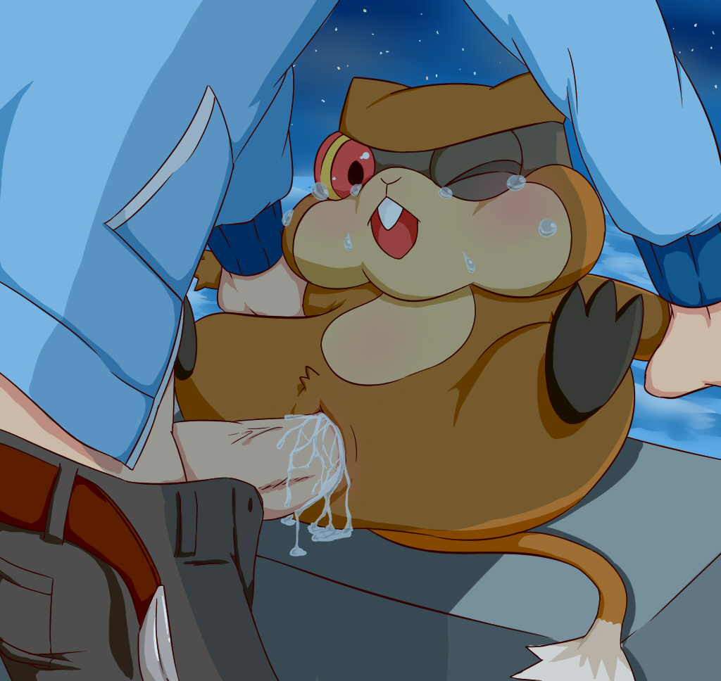 Rule34 – If it exists, there is porn of it / hilbert (pokemon), patrat / 114877