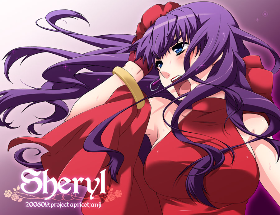 anji, kuroo (project apricot), sheryl nome, macross, macross frontier, studio nue, 00s, 1girl, blue eyes, female focus, long hair, purple hair, solo