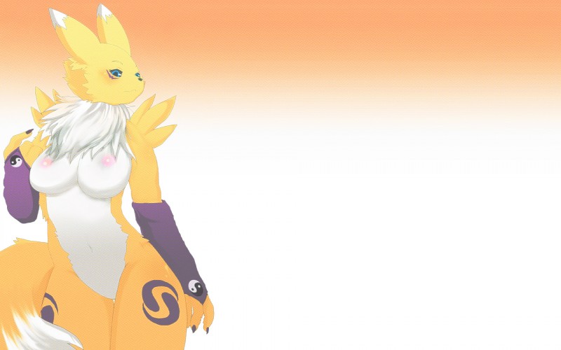 Rule34 – If it exists, there is porn of it / renamon / 115184