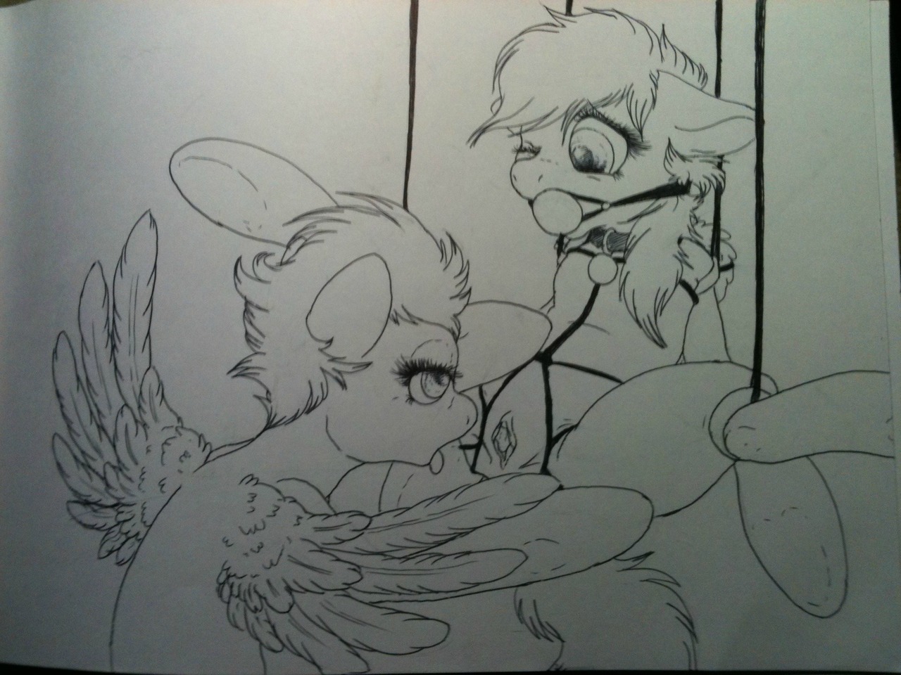 Rule34 – If it exists, there is porn of it / dimwitdog, rainbow dash (mlp), spitfire / 115313