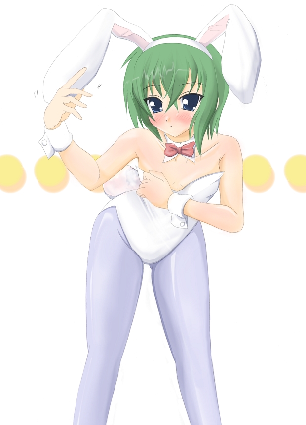 kuro inu, kuroinu (sonoba shinogi), iwasaki minami, lucky star, 00s, 1girl, animal ears, blue eyes, blush, fake animal ears, female focus, green hair, pantyhose, playboy bunny, rabbit ears, short hair, solo