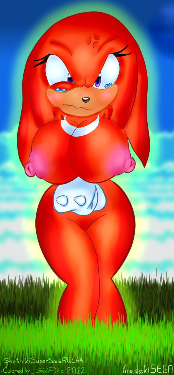 Rule34 – If it exists, there is porn of it / supersonicrulaa, knuckles the echidna / 115396