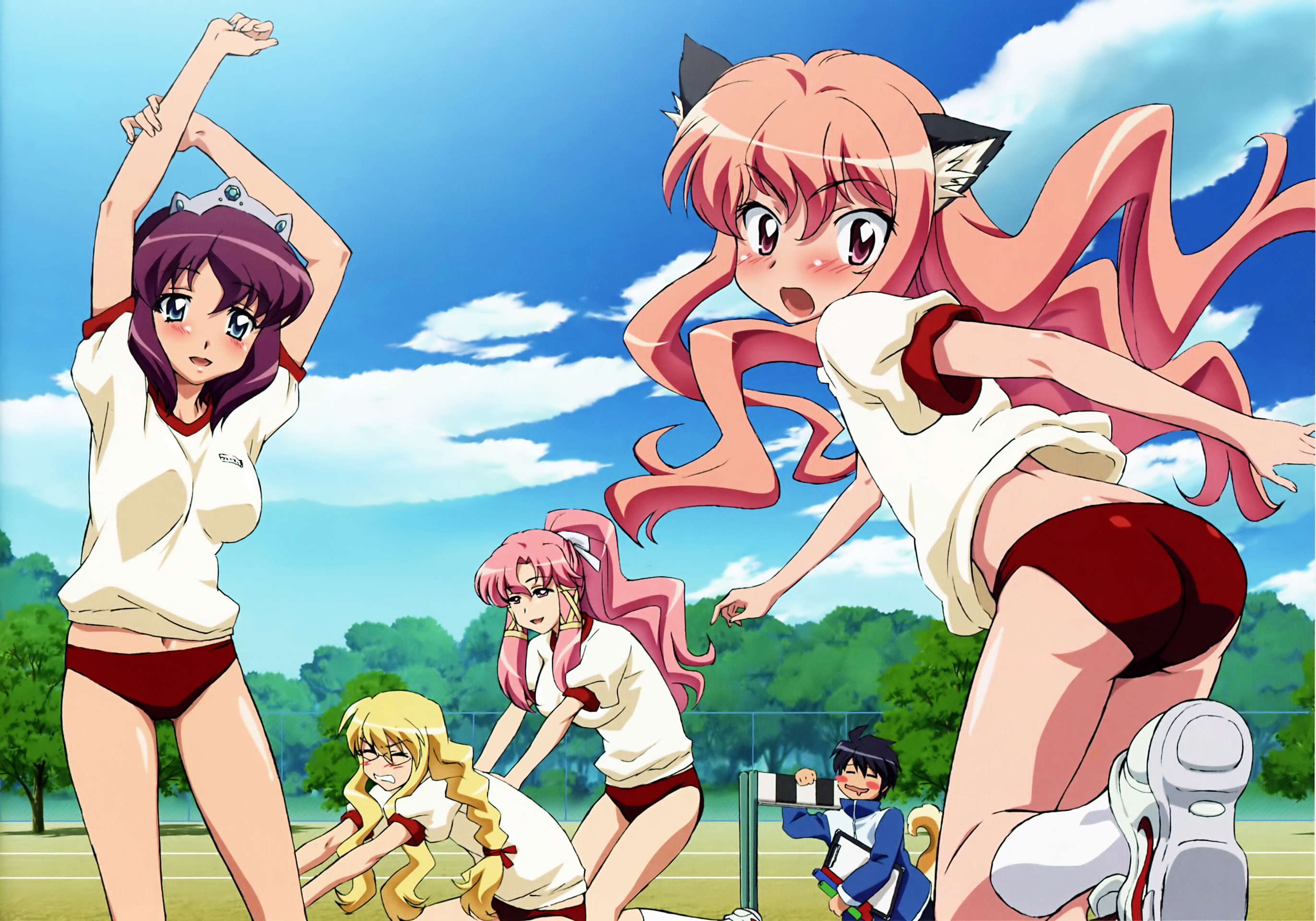 nomura fusako, cattleya yvette la baume le blanc de la fontaine, eleanor albertine le blanc de la blois de la valliere, henrietta de tristain, hiraga saito, louise francoise le blanc de la valliere, megami magazine, zero no tsukaima, white legwear, highres, official art, 00s, 1boy, 4girls, animal ears, arms up, ass, assisted stretching, blonde hair, blue eyes, blush, braid, breasts, buruma, cat ears, closed eyes, crown, flat chest, glasses, gym uniform, long hair, looking back, midriff, multiple girls, navel, pink eyes, pink hair, pinup (style), ponytail, purple hair, red buruma, shoes, sneakers, socks, stretching, tail