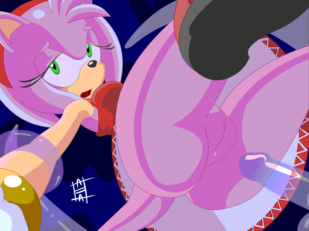 Rule34 – If it exists, there is porn of it / amy rose, chaos (sonic) / 115524