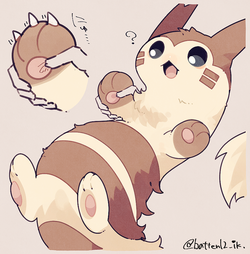 mamebato, furret, nintendo, pokemon, ?, artist name, brown fur, claws, disembodied hand, gen 2 pokemon, grey background, multiple views, open mouth, pokemon (creature), simple background, two-tone fur