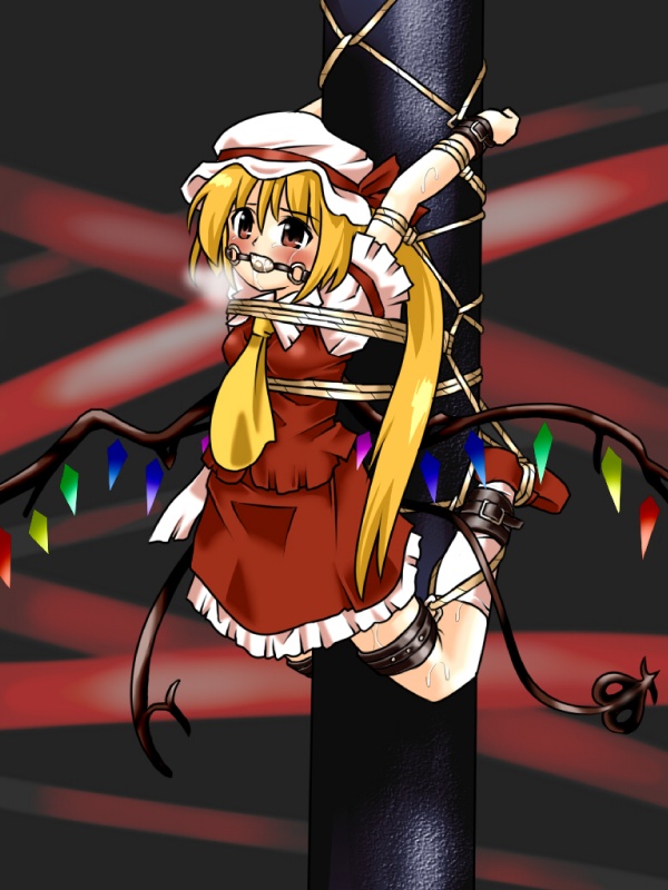 lilish, flandre scarlet, touhou, 1girl, ball gag, bdsm, blush, bondage, bound, breath, female focus, gag, gagged, poletie, rope, solo, tears, wings