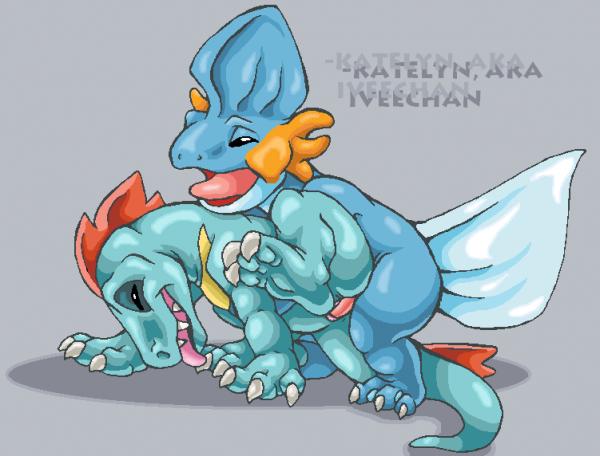 Rule34 – If it exists, there is porn of it / mudkip, totodile / 116236