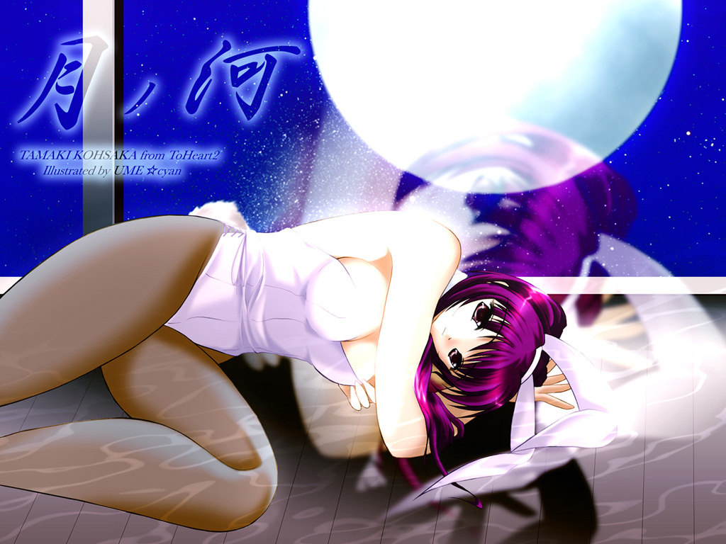 hiyou jun, kousaka tamaki, to heart (series), to heart 2, 00s, animal ears, brown eyes, fake animal ears, long hair, lying, moon, pantyhose, playboy bunny, purple hair, rabbit ears, twintails