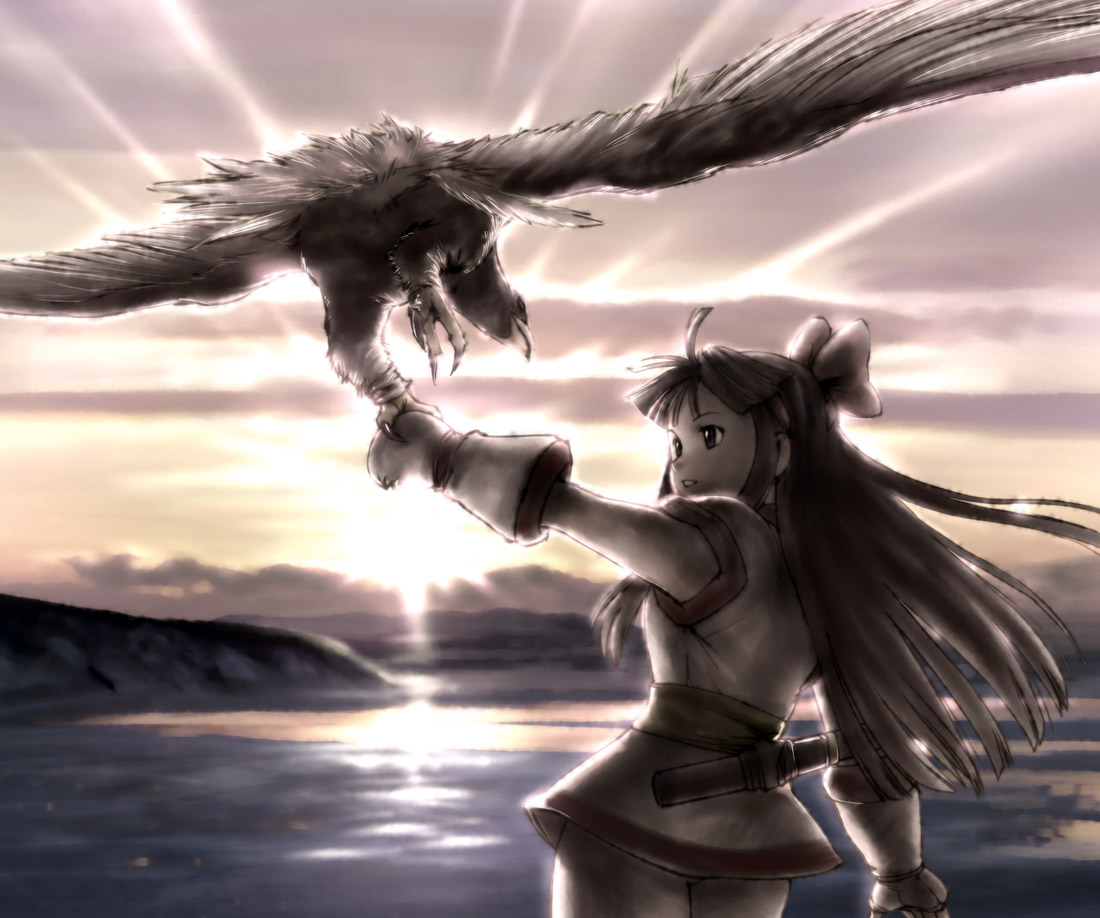 ueyama michirou, mamahaha, nakoruru, samurai spirits, bird, bird on hand, black hair, bow, hair bow, long hair, solo, sun, water