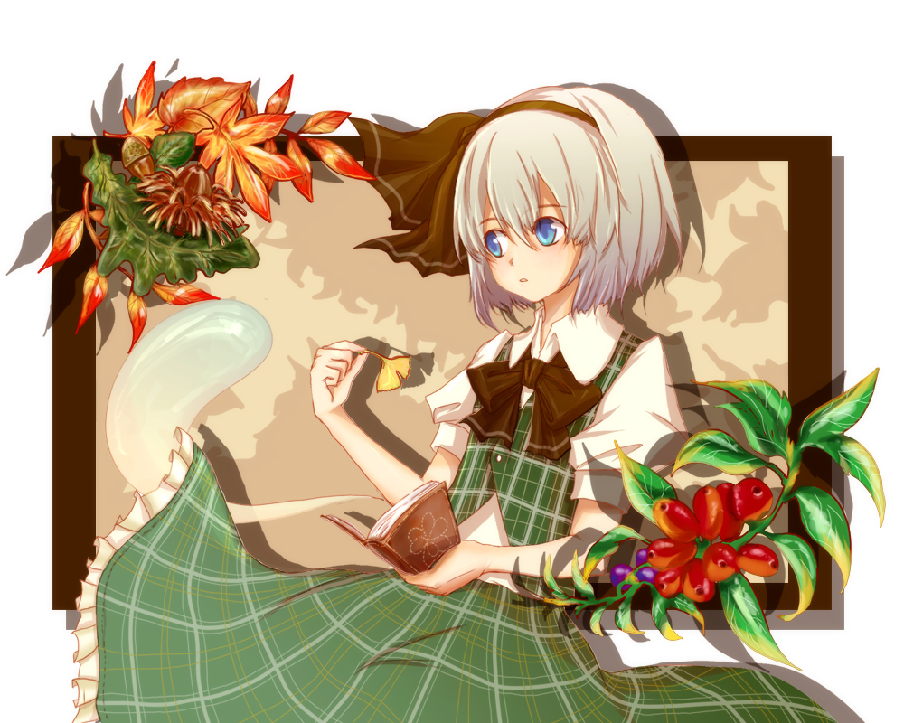baku (bakunooekaki), konpaku youmu, konpaku youmu (ghost), touhou, silver hair, 1girl, book, female focus, ghost, hitodama, ribbon, short hair, solo