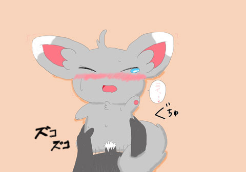 Rule34 – If it exists, there is porn of it / minccino / 116646
