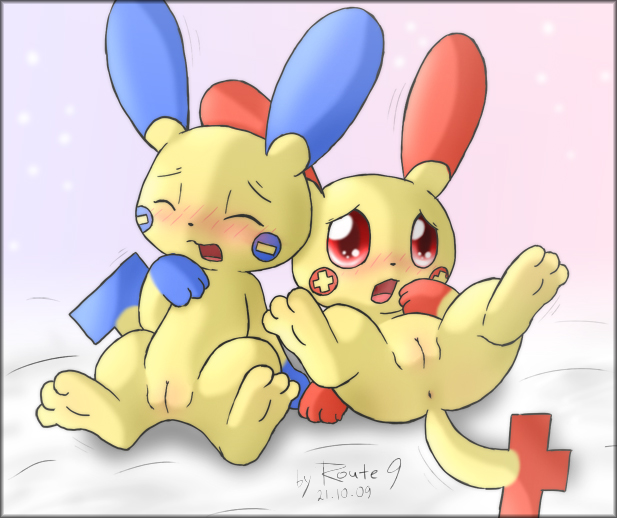 Rule34 – If it exists, there is porn of it / route9, minun, plusle / 116782