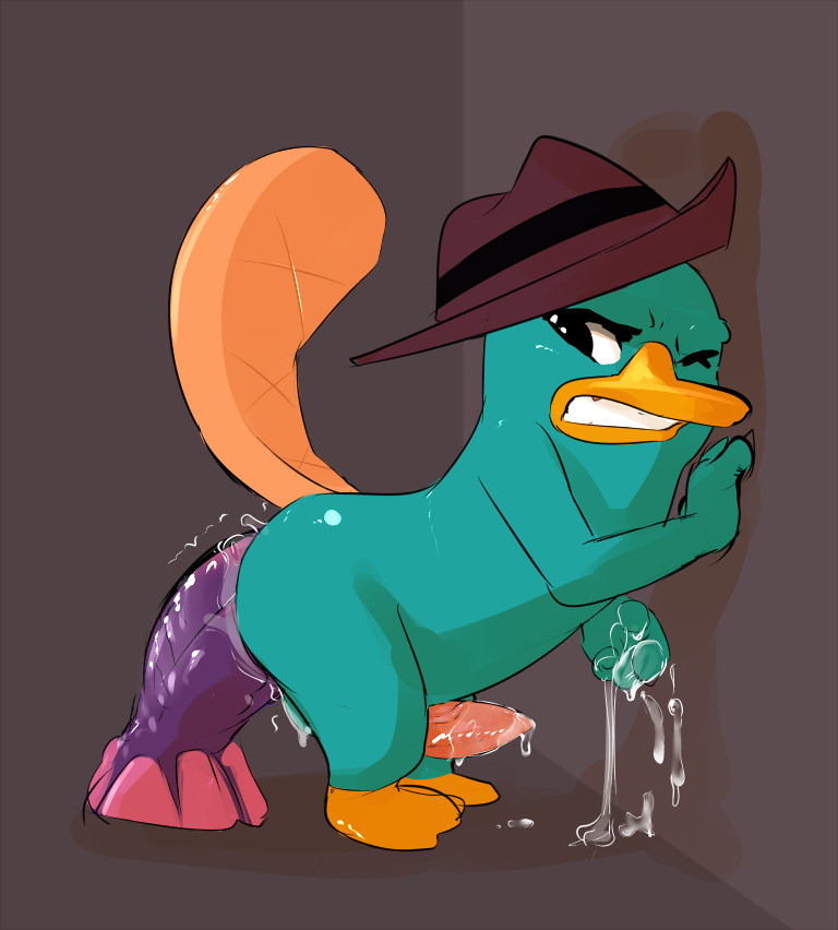 Rule34 – If it exists, there is porn of it / perry the platypus / 116992