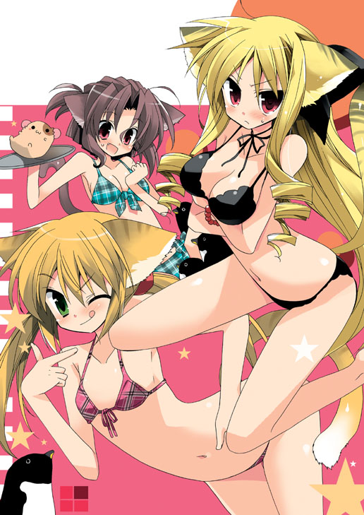 araki kanao, maria (hayate no gotoku!), sanzen'in nagi, tennousu athena, hayate no gotoku!, 00s, 3girls, animal ears, bikini, cat ears, multiple girls, swimsuit