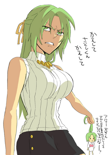 sonozaki mion, sonozaki shion, higurashi no naku koro ni, translation request, 00s, angry, chibi, green eyes, green hair, o3o