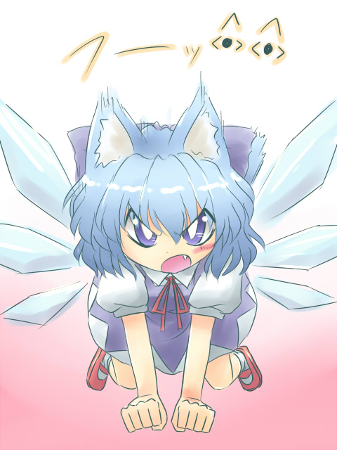 kakkou, cirno, embodiment of scarlet devil, touhou, 1girl, animal ears, blue hair, cat ears, cat girl, dress, female focus, full body, gradient background, red shoes, ribbon, shoes, socks, solo, white background, white socks, wings