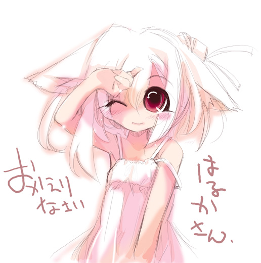 usoneko, tagme, albino, animal ears, cat ears, red eyes, solo, white hair