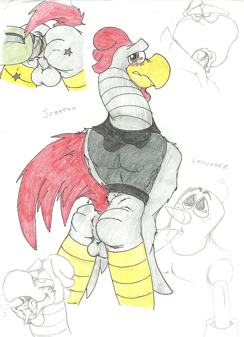 Rule34 – If it exists, there is porn of it / grounder, scratch (sonic) / 118222
