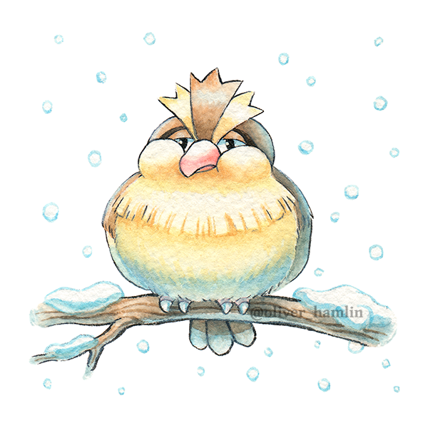 oliver hamlin, pidgey, nintendo, pokemon, painting (medium), traditional media, watercolor (medium), artist name, beak, bird, branch, fat, gen 1 pokemon, no humans, pokemon (creature), snowing, solo, white background