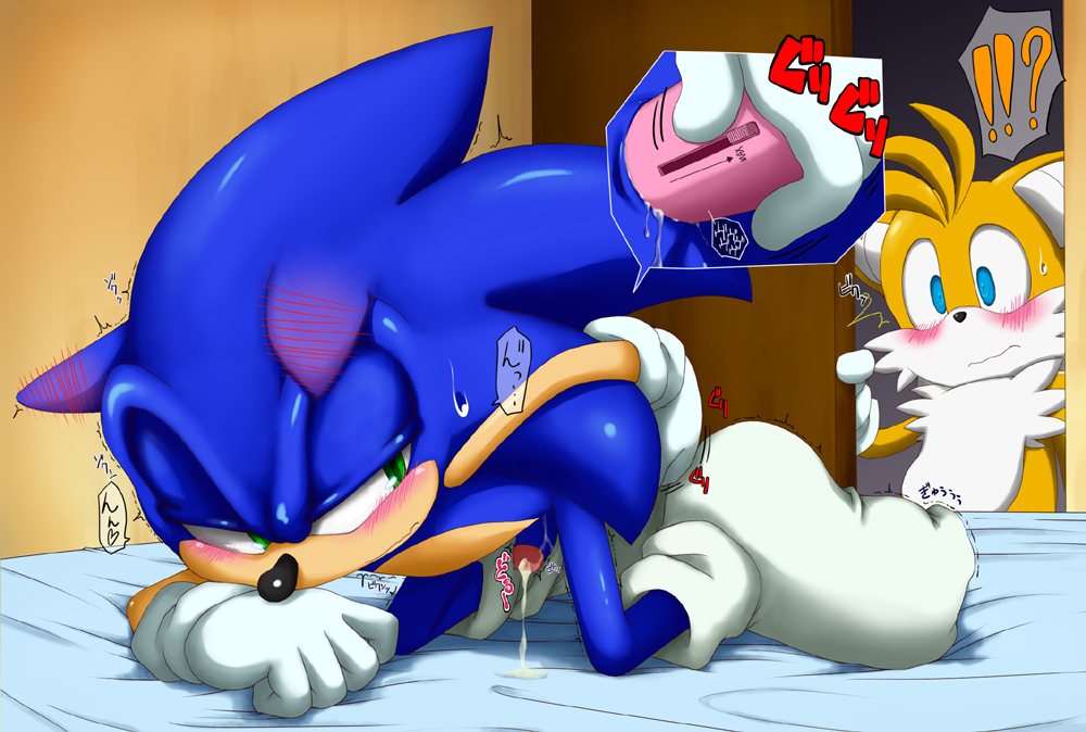 Rule34 – If it exists, there is porn of it / shoppaaaa, sonic the hedgehog, tails / 118779