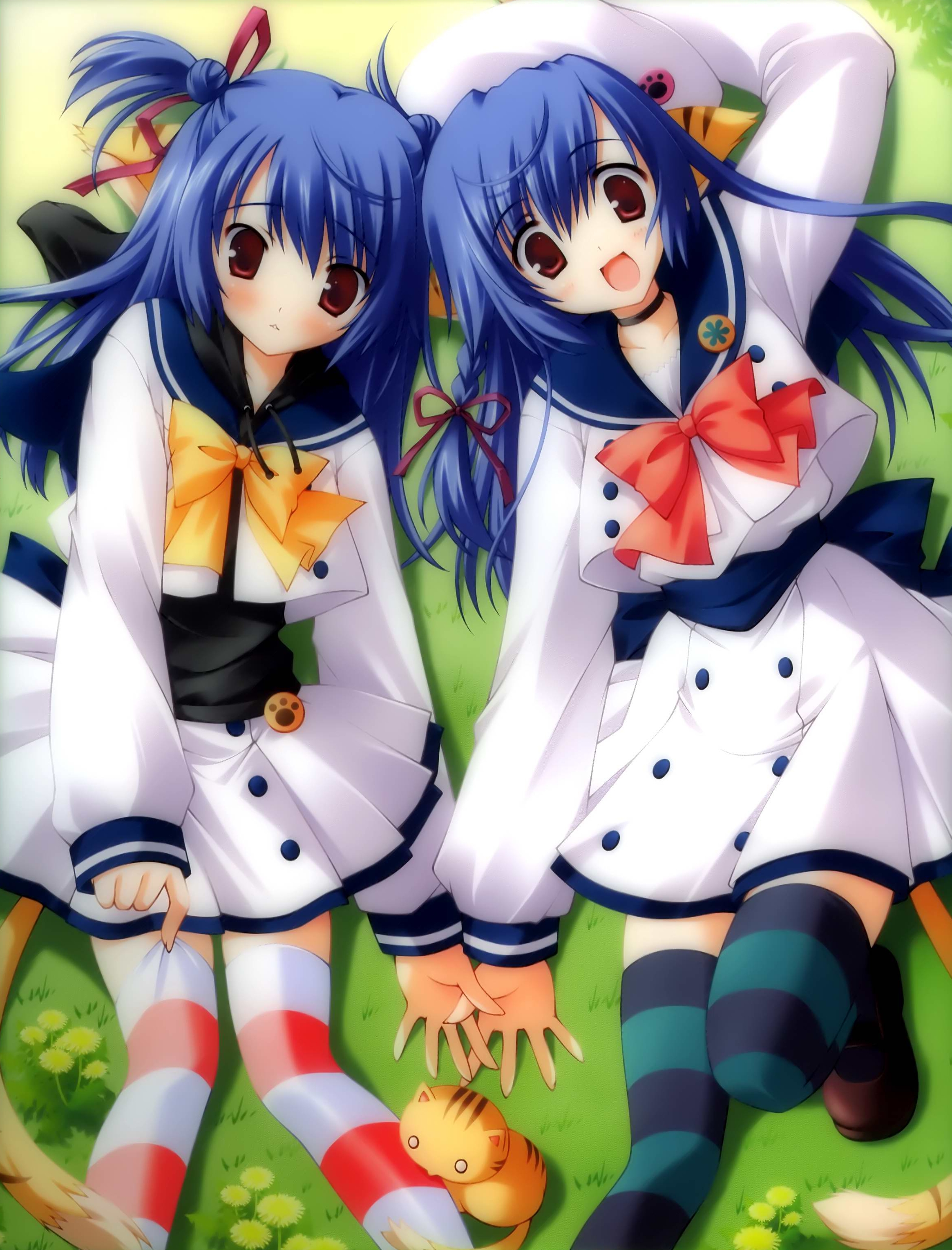 ikegami akane, striped legwear, absurdres, highres, 2girls, animal ears, blue hair, cat, multiple girls, red eyes, ribbon, school uniform, serafuku, striped clothes, striped thighhighs, tail, thighhighs