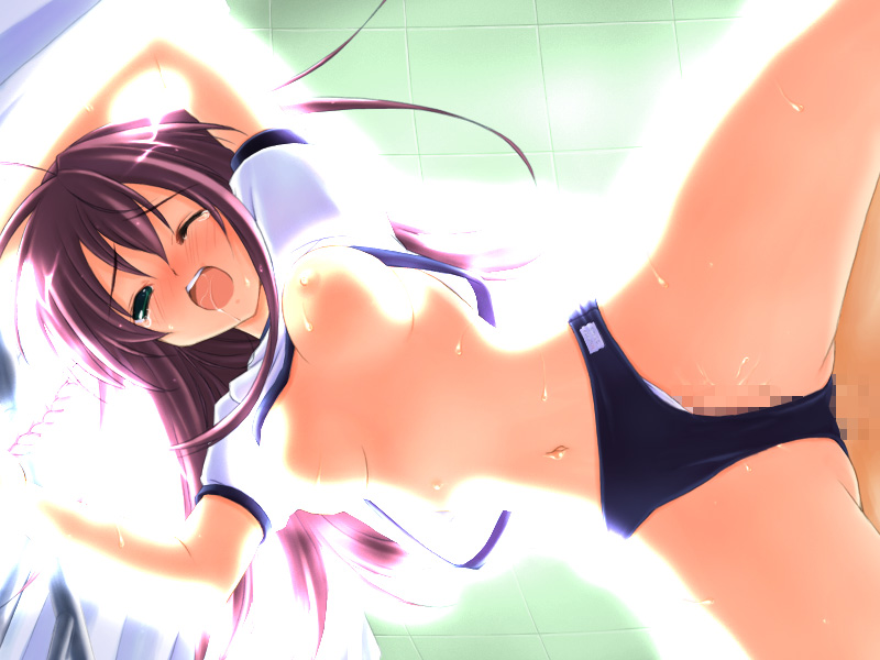 mikeou, yuuki nako, konneko, game cg, 1boy, 1girl, anal, blush, breasts, buruma, censored, classroom, clothes lift, gym, gym shirt, gym uniform, hetero, long hair, lying, medium breasts, mosaic censoring, nipples, nose blush, one eye closed, open mouth, panties, panties under buruma, penis, purple hair, pussy, school, sex, shirt, shirt lift, solo focus, teacher, teaching, underwear, white panties, wink
