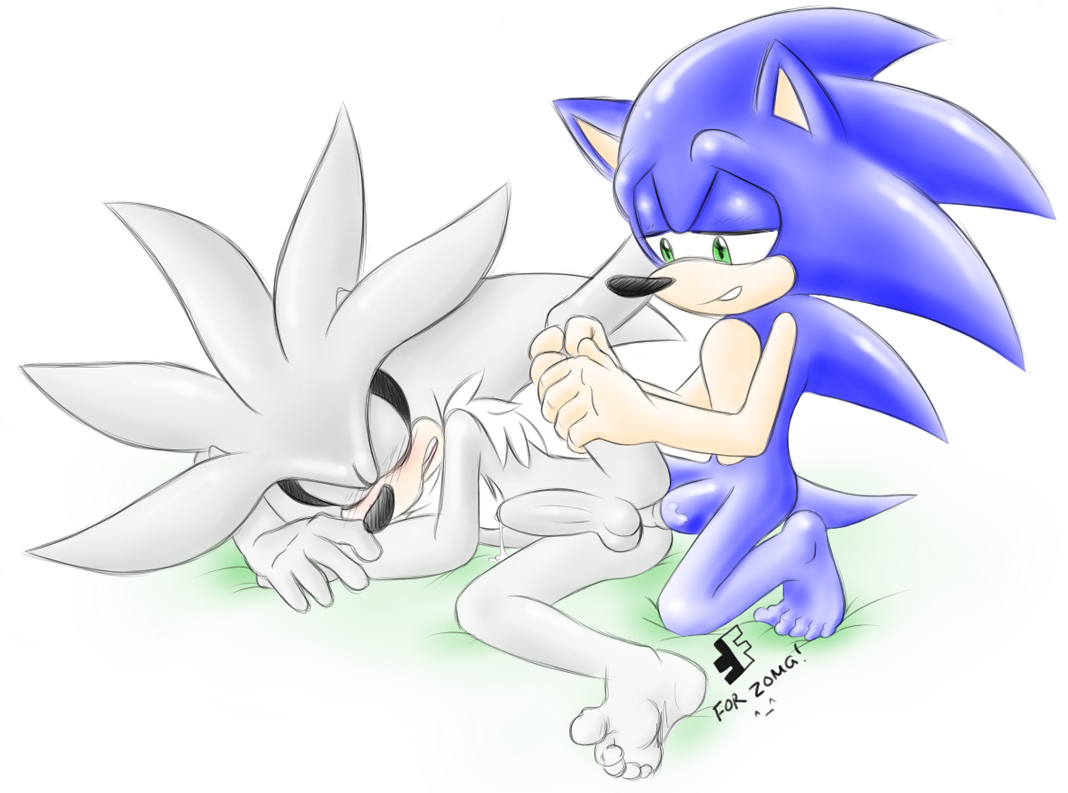 Rule34 – If it exists, there is porn of it / fakerface, silver the hedgehog, sonic the hedgehog / 118937