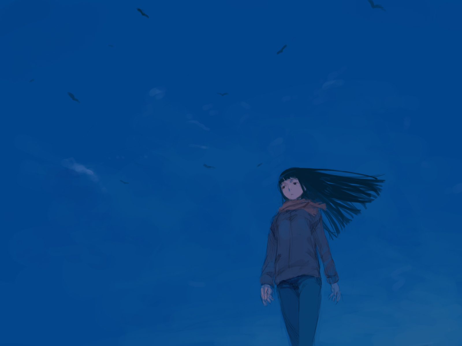 haimura kiyotaka, original, looking away, highres, 1girl, bird, black hair, blue theme, blunt bangs, coat, denim, expressionless, female focus, floating hair, jeans, long hair, pants, scarf, sketch, sky, solo, very long hair, walking, wind