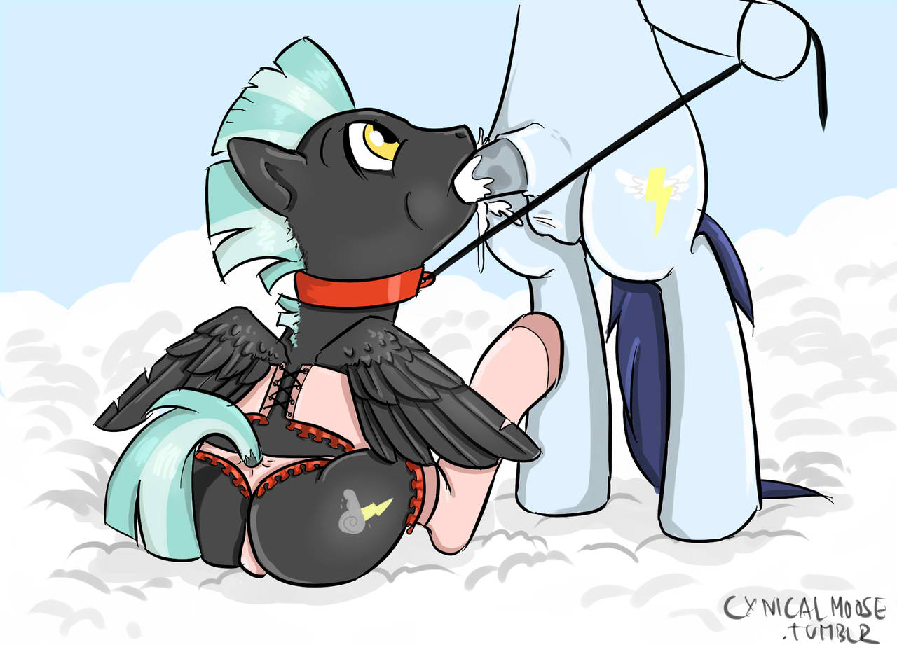 Rule34 – If it exists, there is porn of it / cynicalmoose, soarin, thunderlane / 119348